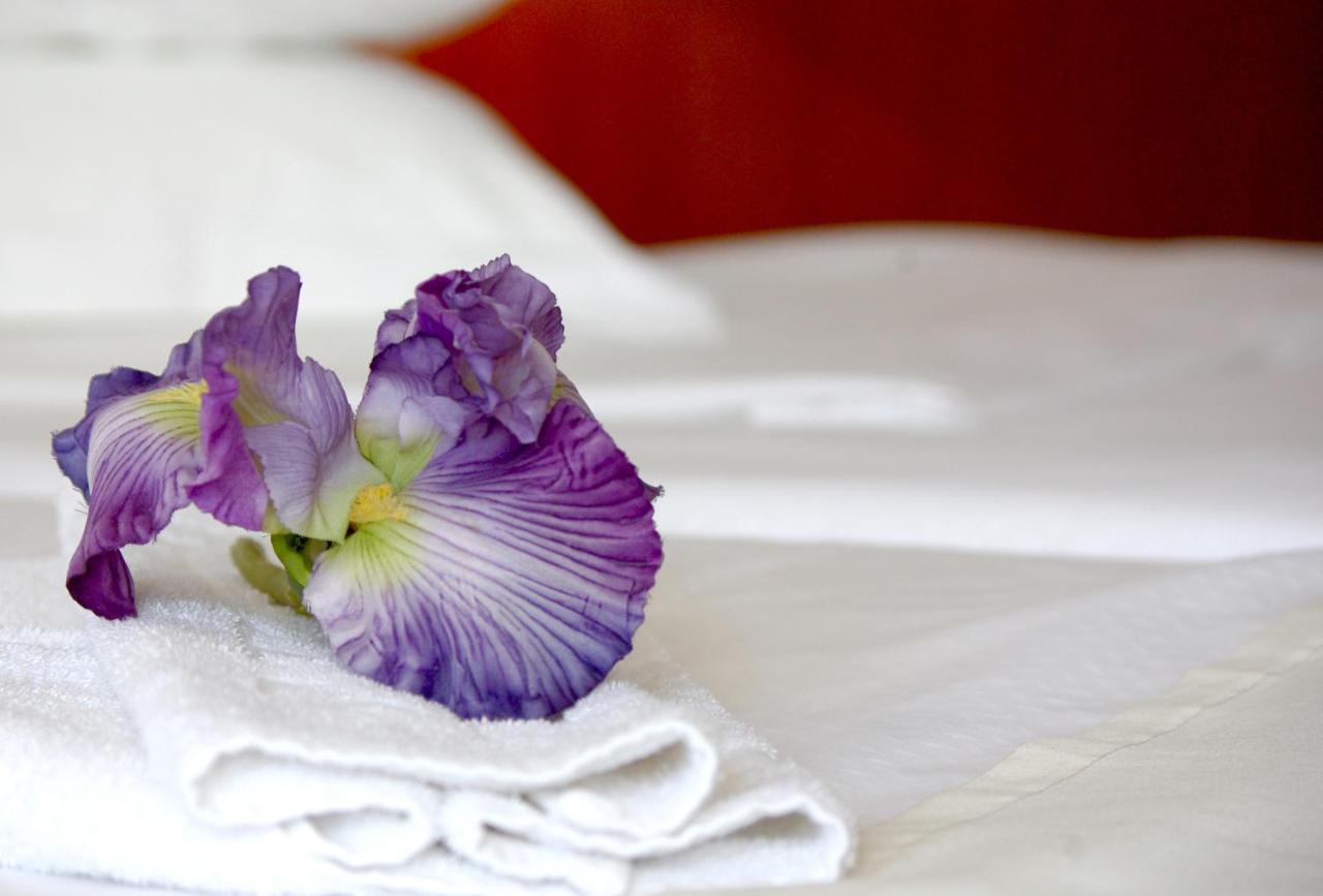 Bluesun Hotel Maestral Brela Ngoại thất bức ảnh